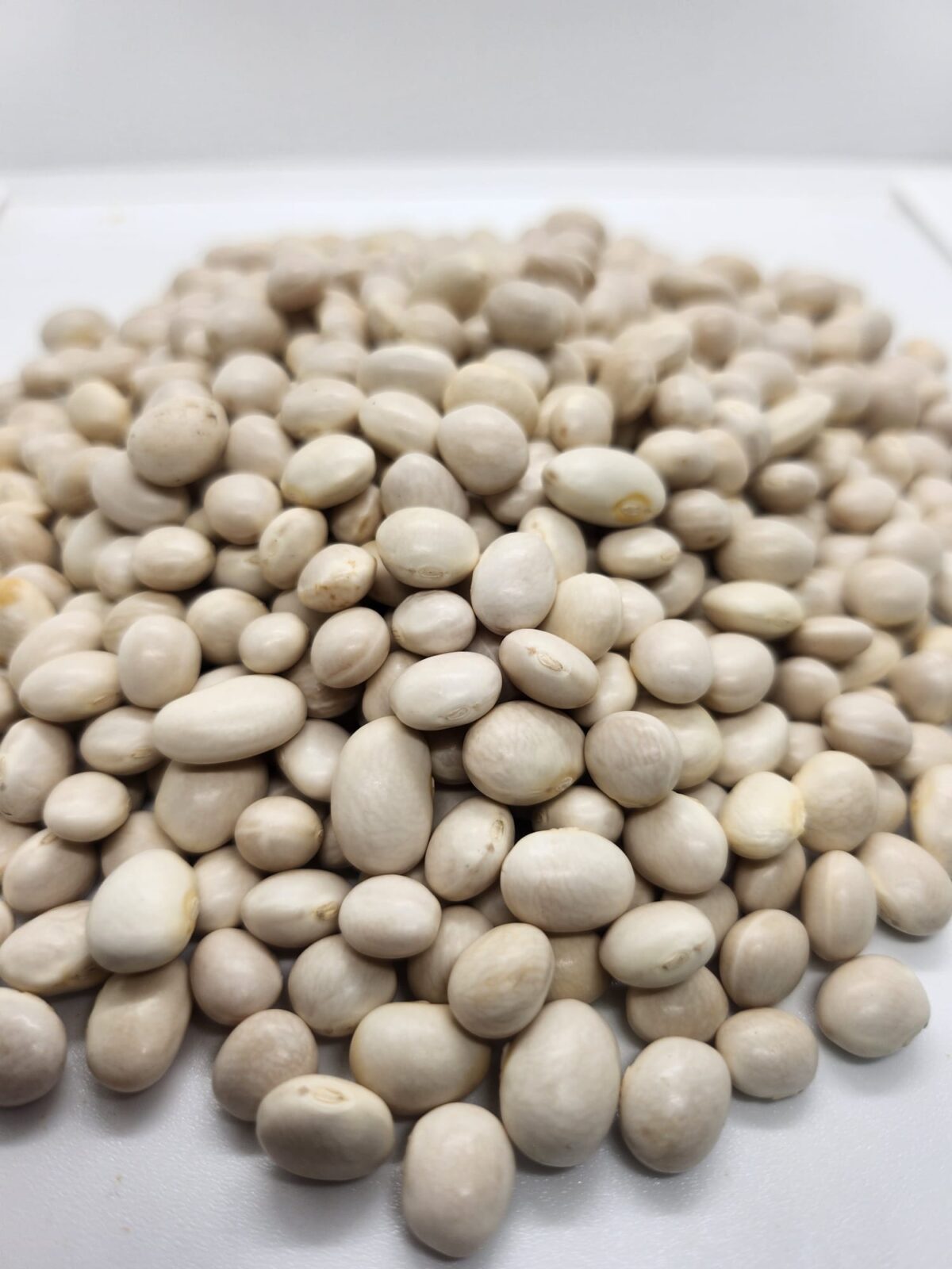 Fagioli Kokos Fagioli bianchi kokos - immagine 1