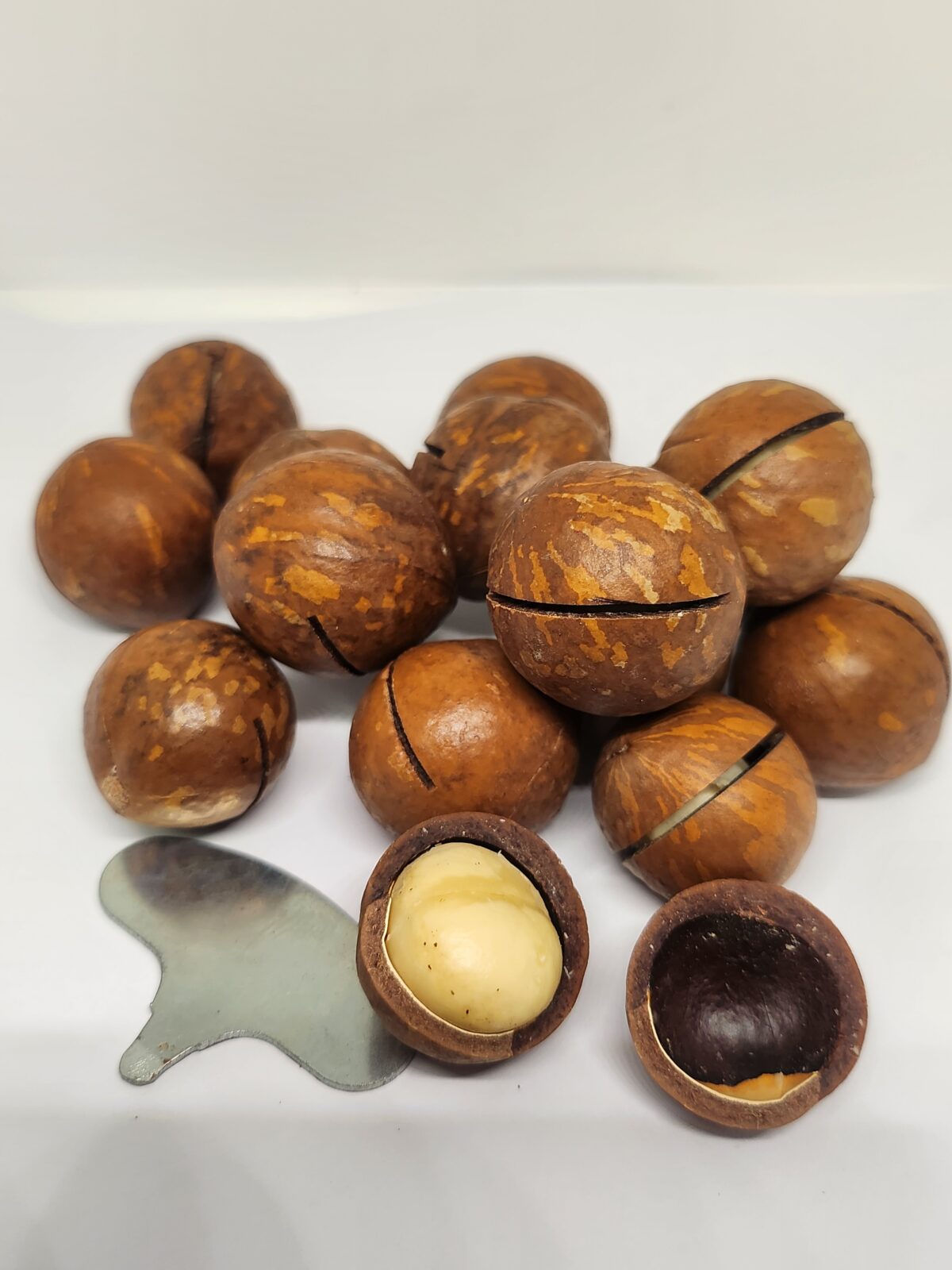 20260515_202928 noci macadamia alla vaniglia 500gr - immagine 1